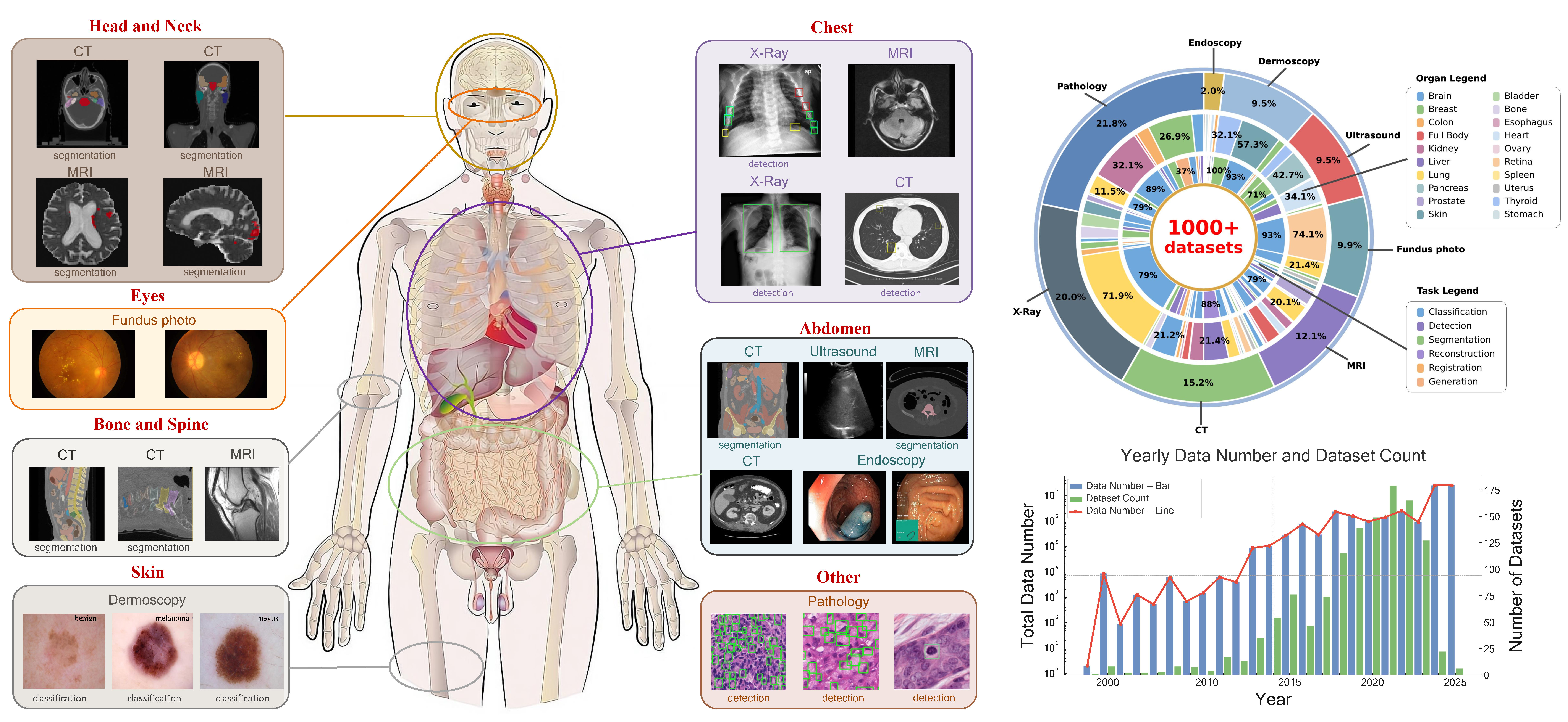 Body Part Overview
