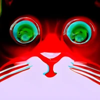 Sinan Robillard's profile picture