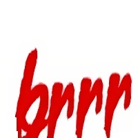 HuggingFaceBR4's profile picture