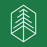 Pine's profile picture