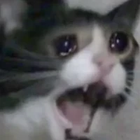 Oleg's profile picture