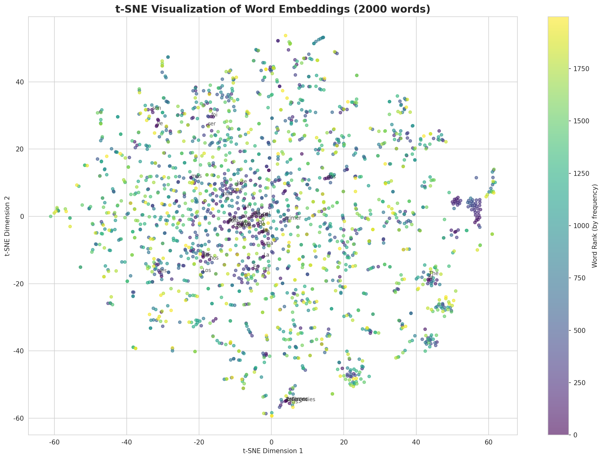 t-SNE Words