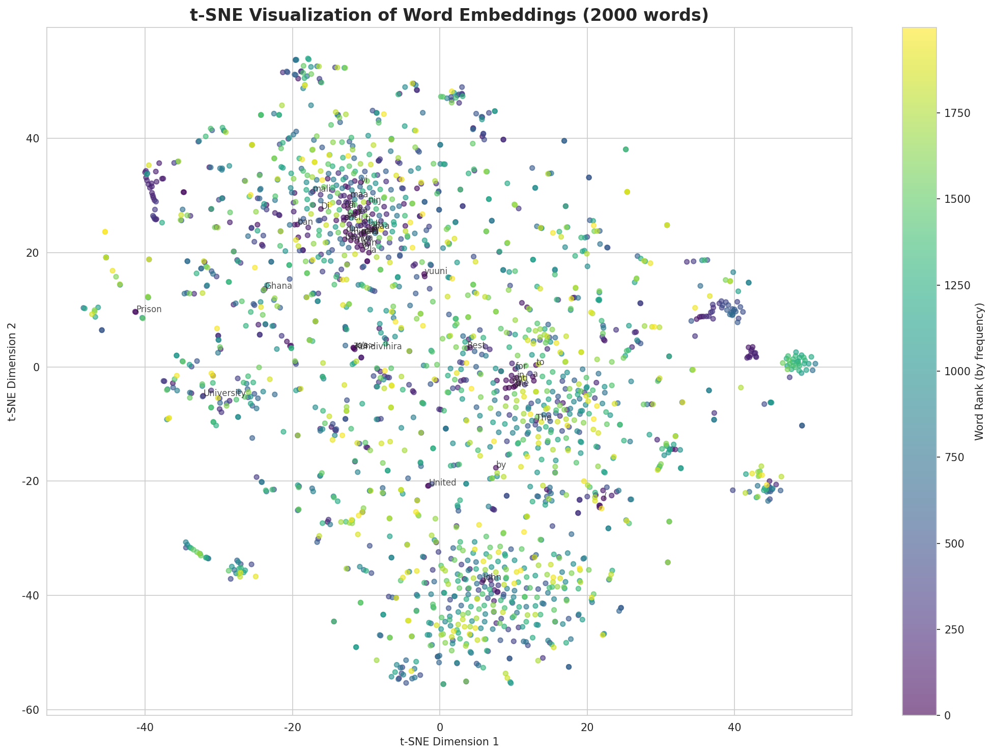t-SNE Words