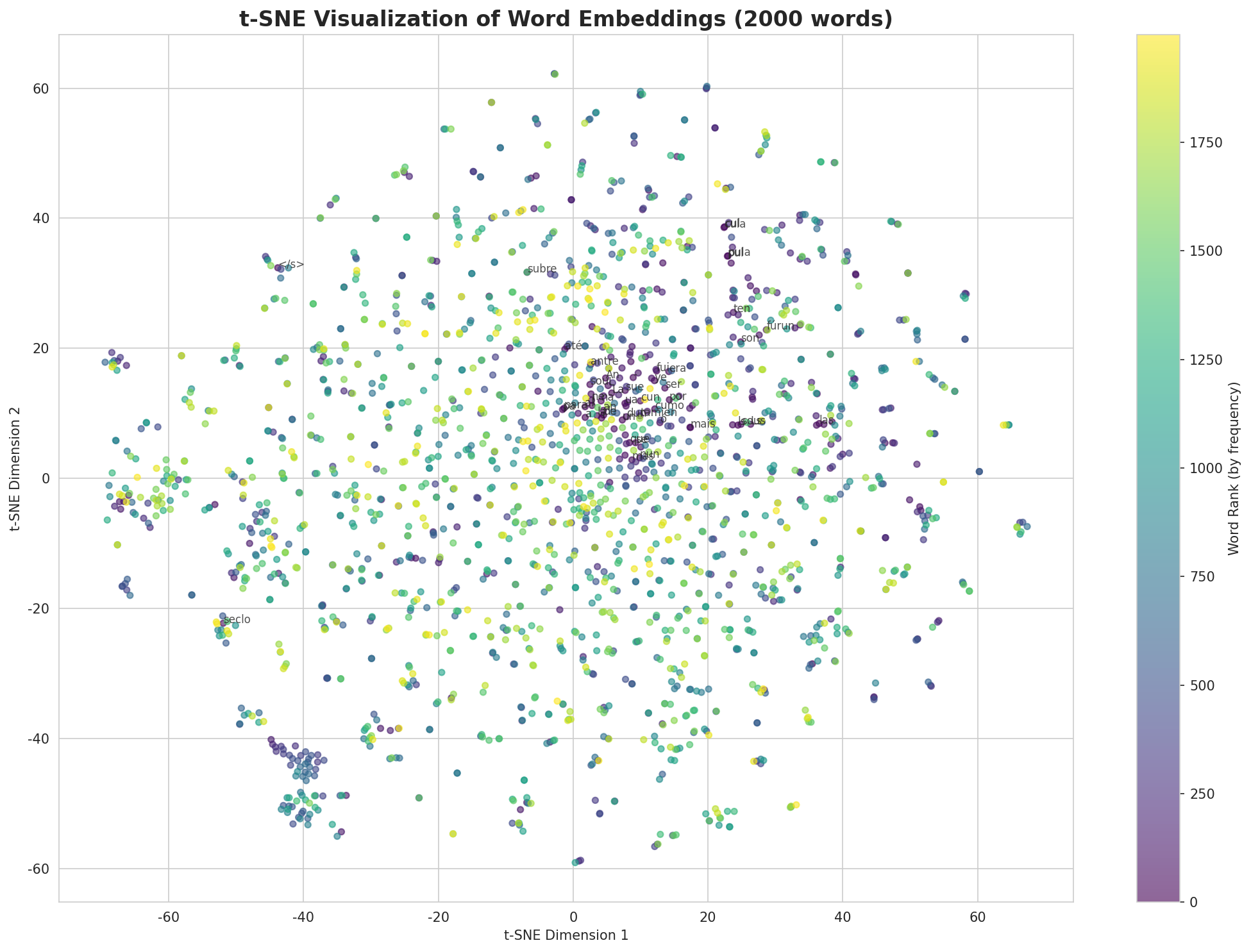 t-SNE Words